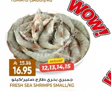 FRESH SEA SHRIMPS SMALL/KG