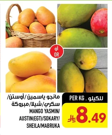 MANGO YASMIN/ AUSTIN(EGT)/ SOKARY/ SHEILA/ MABRUKA