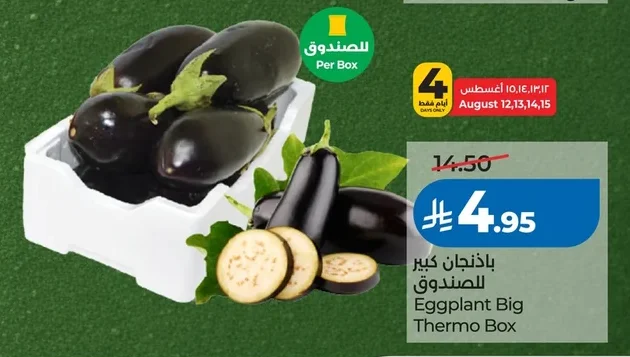 باذنجان كبير
