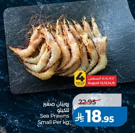 Sea Prawns