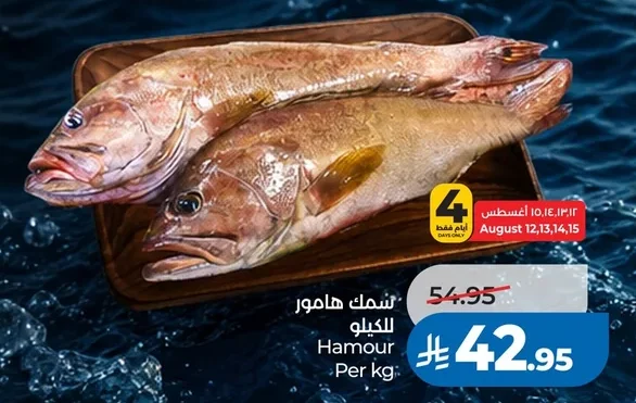 سمك هامور