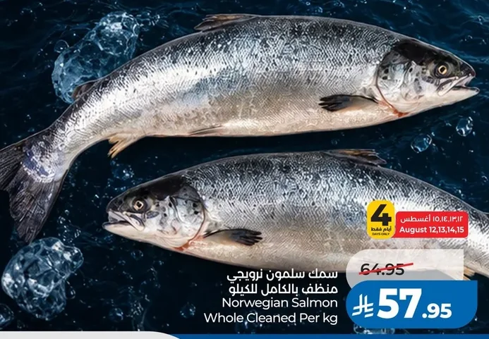 Norwegian Salmon