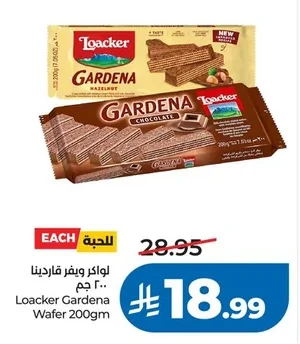 السعودية معجون الطماطم