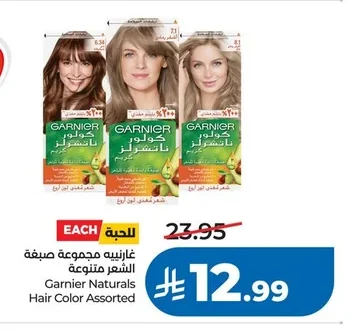 غارنييه مجموعة صبغة الشعر
