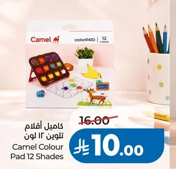 Camel Coloring Pad 12 Shades