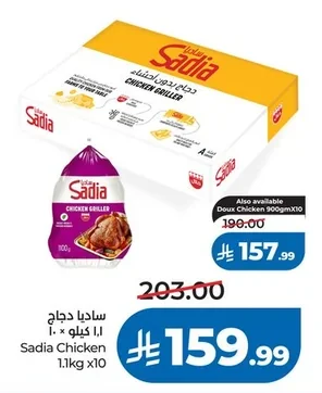 ساديا دجاج