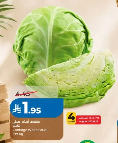 Cabbage White Saudi