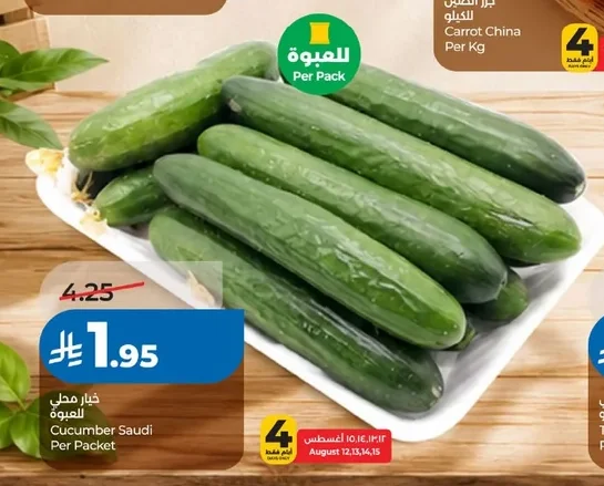 Cucumber Saudi