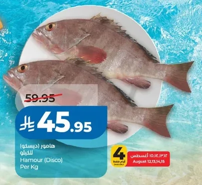 Hamour (Disco)
