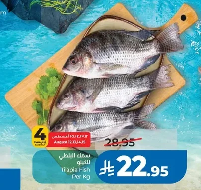 Tilapia Fish