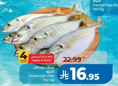 Durduman Fish
