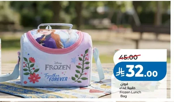 Frozen Lunch Bag