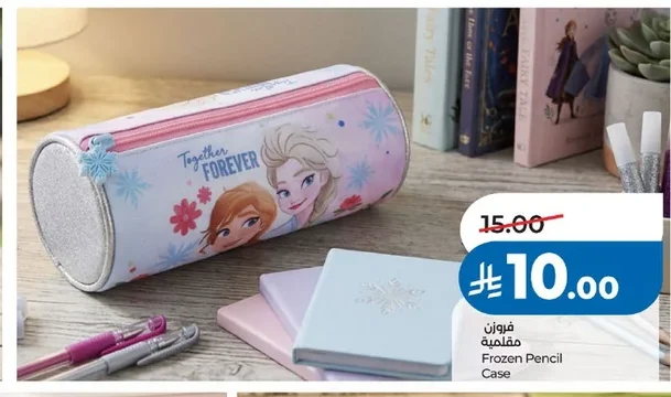 Frozen Pencil Case
