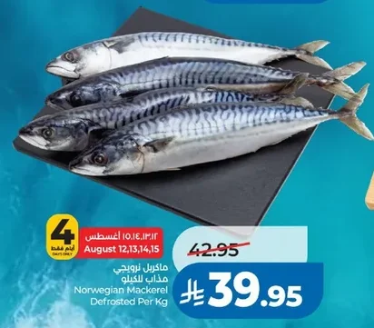 Norwegian Mackerel