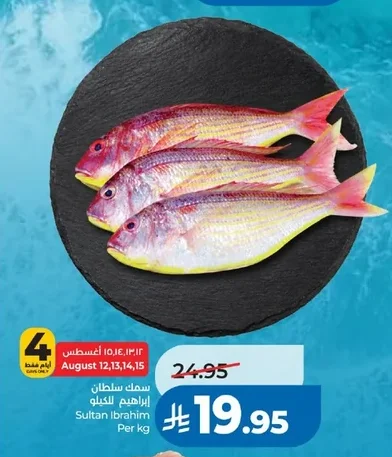 سمك سلطان ابراهيم