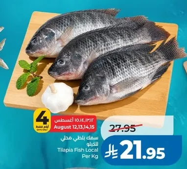 Tilapia Fish Local