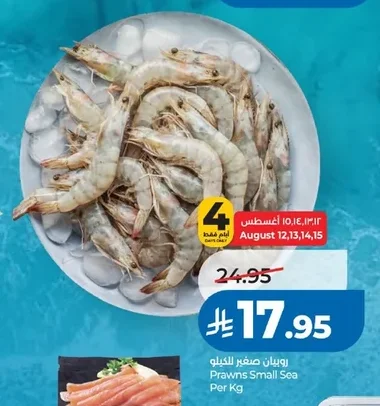 Prawns Small Sea
