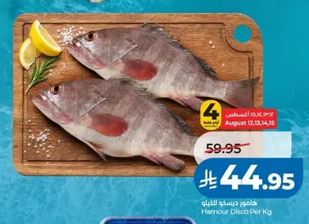 Hamour Disco