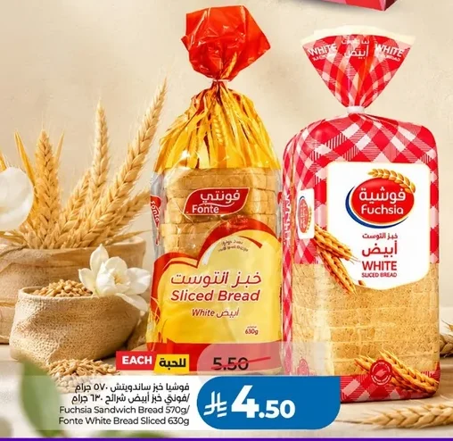 فوشيا خبز ساندويتش / فوشيا خبز ساندويتش