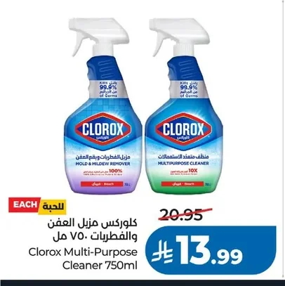 Clorox Mold & Mildew Remover 750ml