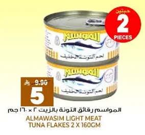 Tuna Flakes in Oil