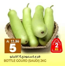 قرع اسعودي