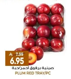 PLUM RED TRAY