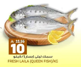سمك ليلي (بسر)/كيلو