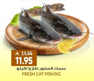 سمك السلور طازج /كيلو