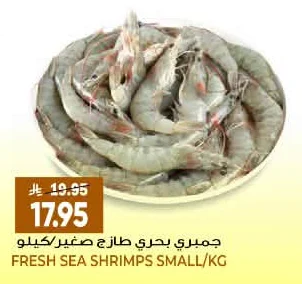 FRESH SEA SHRIMPS SMALL/KG