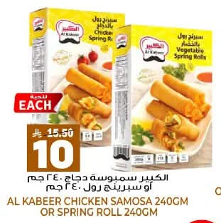 Chicken Samosa or Spring Roll