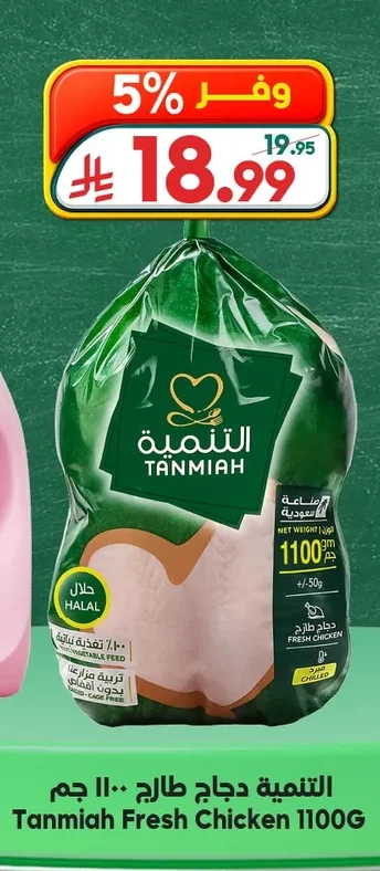 التنمية دجاج طازج