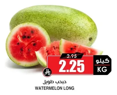 WATERMELON LONG