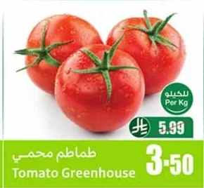 طماطم محمي