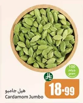 هيل جامبو