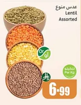 عدس منوع