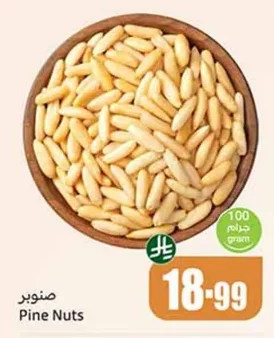 صنوبر