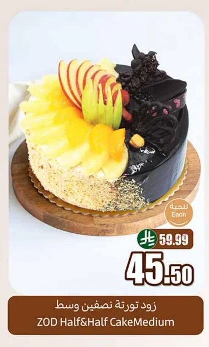 Zod Medium Cake Base