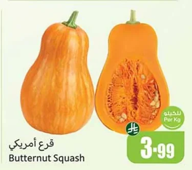 قرع أمريكي