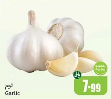 ثوم