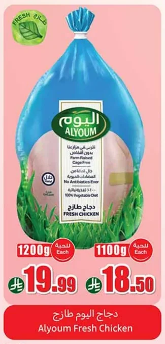 دجاج طازج