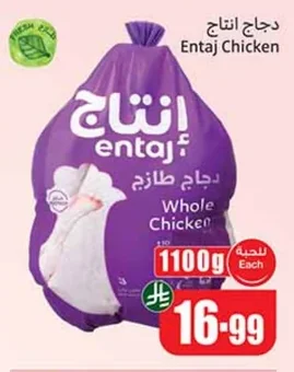دجاج انتاج