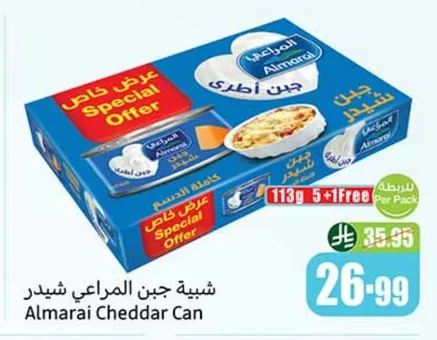 جبن شيدر