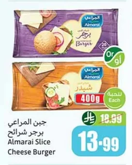 Slice Cheese Burger