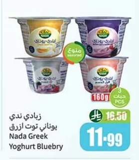 Nada Greek Yogurt Blueberry