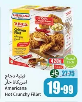 Spicy Chicken Fillet