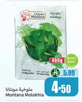 ملوخية مونتانا