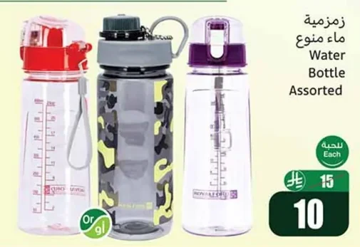 Water Bottle Assorted