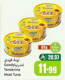 تونة قودي تندرنيا