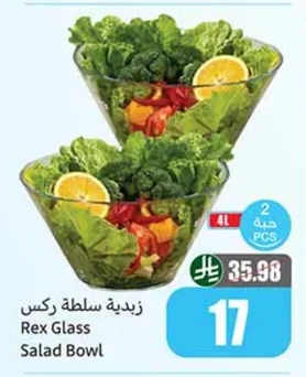 Rex Salad Bowl